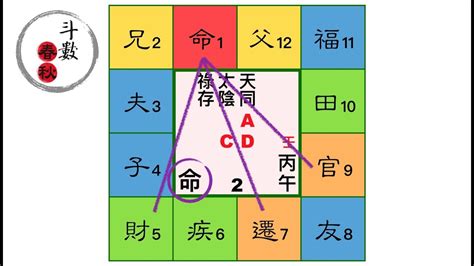 紫微斗數 身體部位|【紫微鬥數 身體部位】紫微鬥數幫你找身體弱點！從。